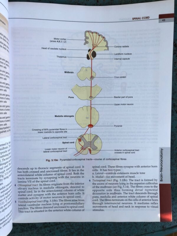 Human Anatomy Vol.4