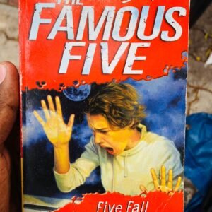 The Famous Five: Five Fall into Adventure